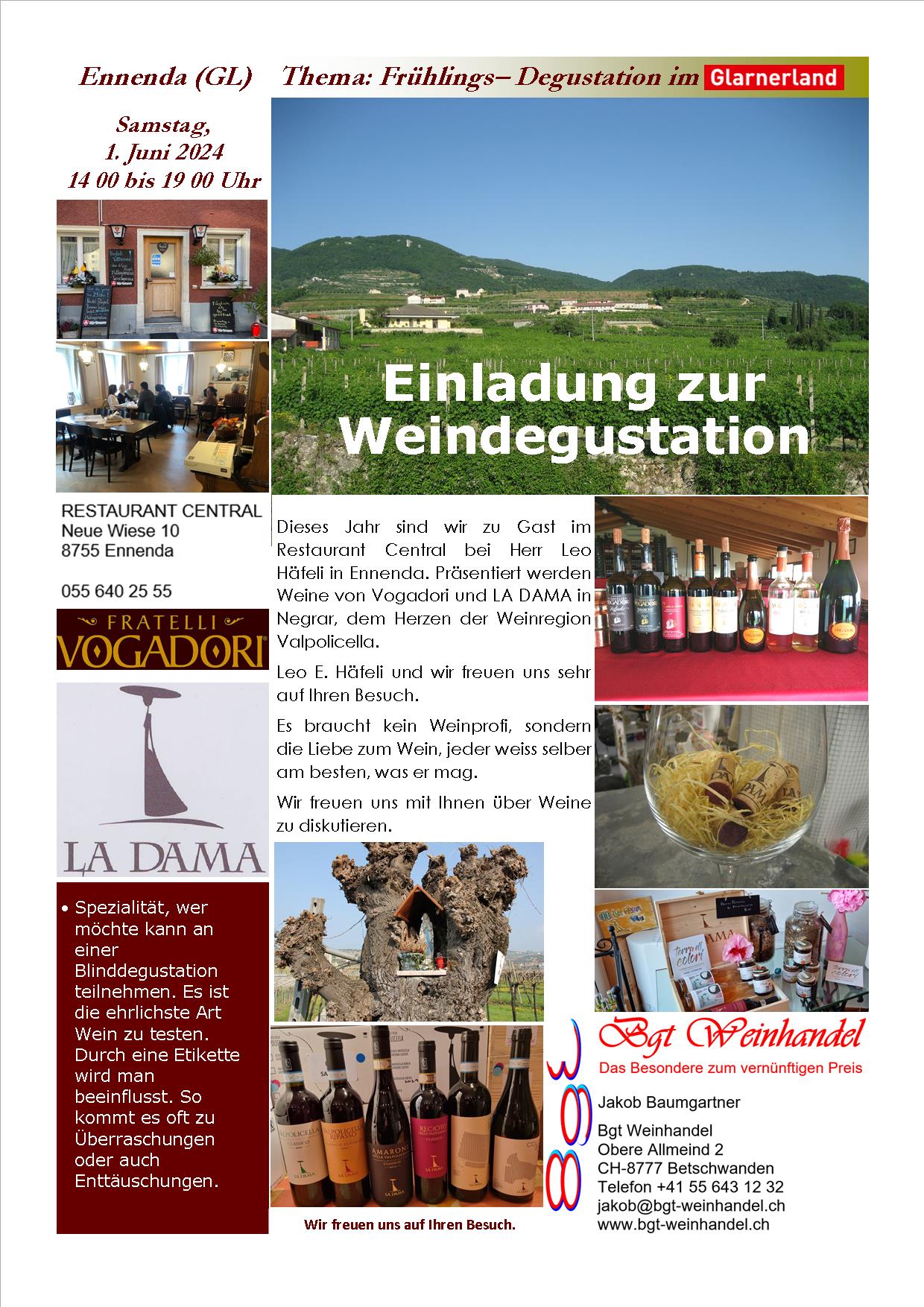 Flyer Degu Hätzingen